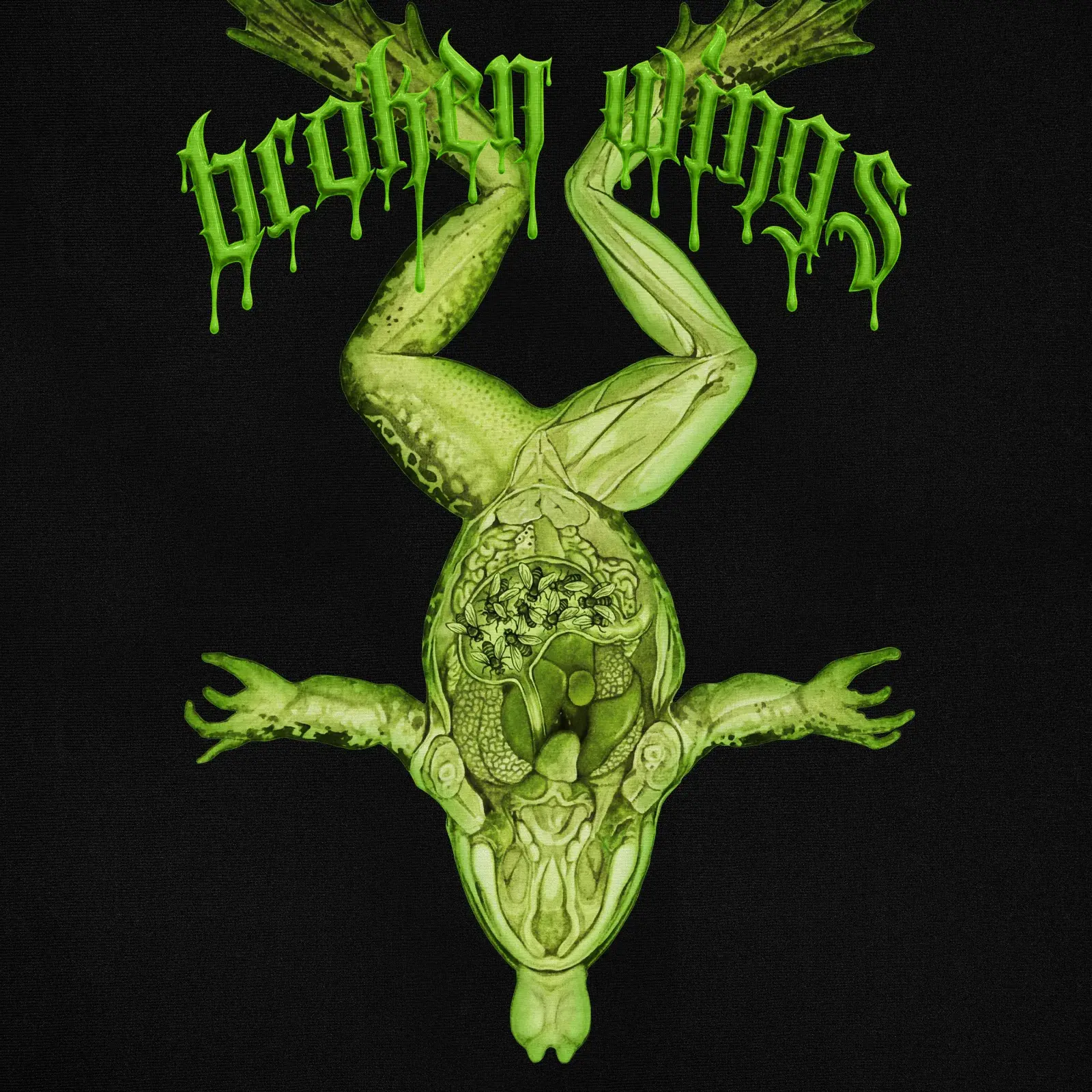 Open Fly Eater Tee (Limited Edition), detail